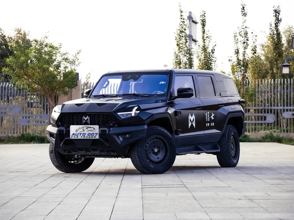 Rhyfelwr Dewr 917 Ymestyn Ystod Car Trydan